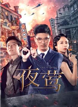 2018国产剧《夜莺2022》迅雷下载_中文完整版_百度云网盘720P|1080P资源