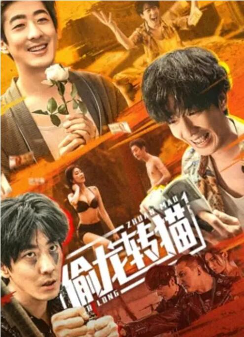 2018剧情片《偷龙转猫》迅雷下载_中文完整版_百度云网盘720P|1080P资源