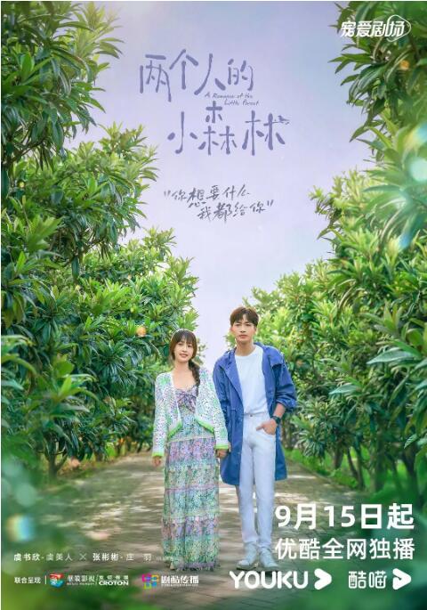 2018国产剧《两个人的小森林》迅雷下载_中文完整版_百度云网盘720P|1080P资源